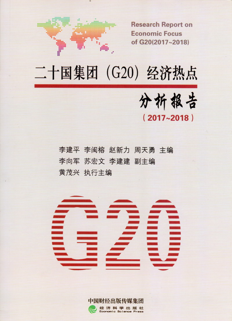 那操个鸡巴啊操二十国集团（G20）经济热点分析报告（2017-2018）